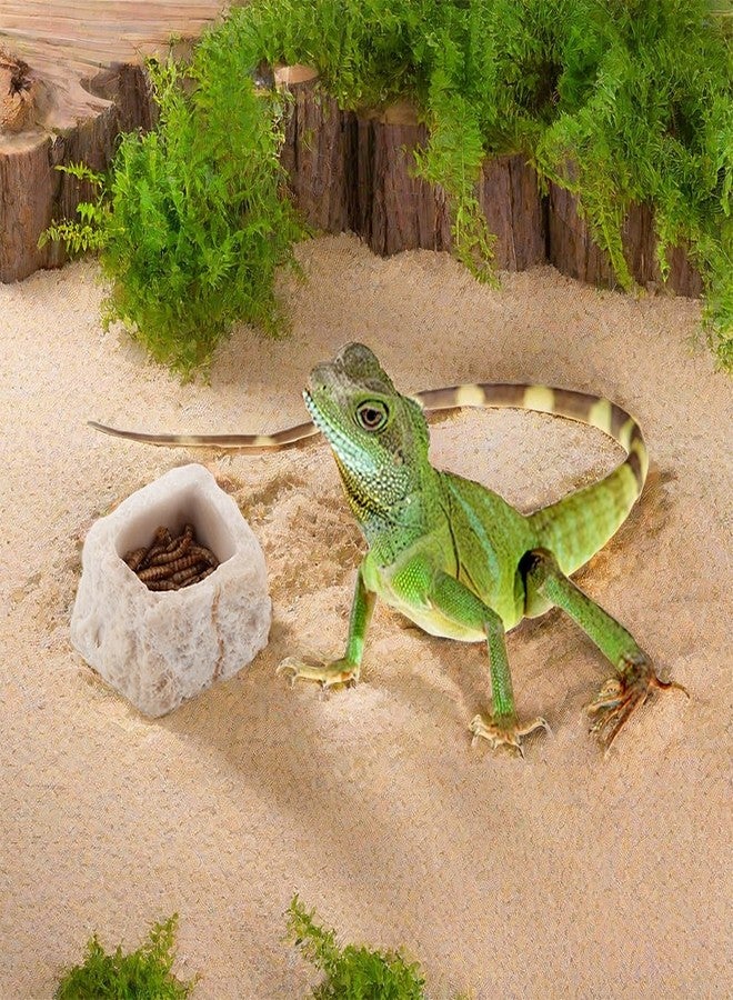 DQITJ 2 Pack Micro Water Bowl Mini Anti-Turnover Resin Dish for Lizard Frog Scorpion Corn Snake Reptiles - Image 2